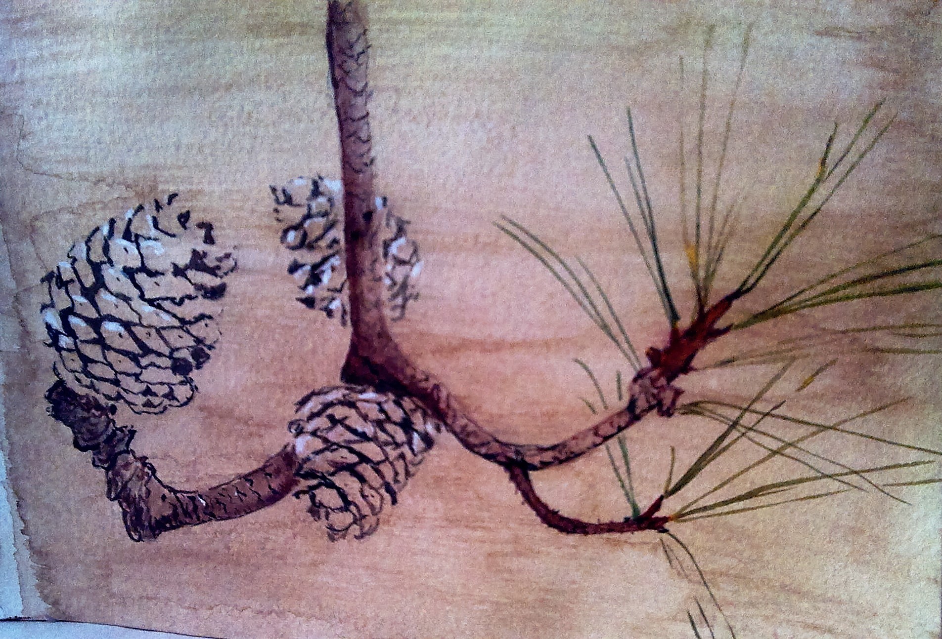 IMG_20150222_124540_908 (3)